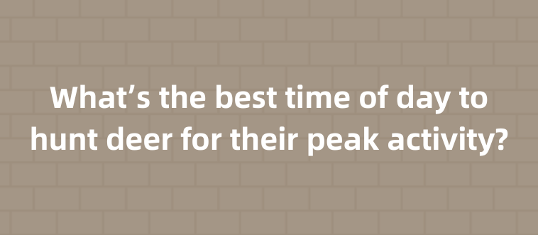 Hunt For Test Think You’ve Got What It Takes for Hunting Season? Test Your Skills Now ...